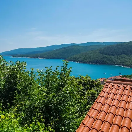 In Rabac 16742 *